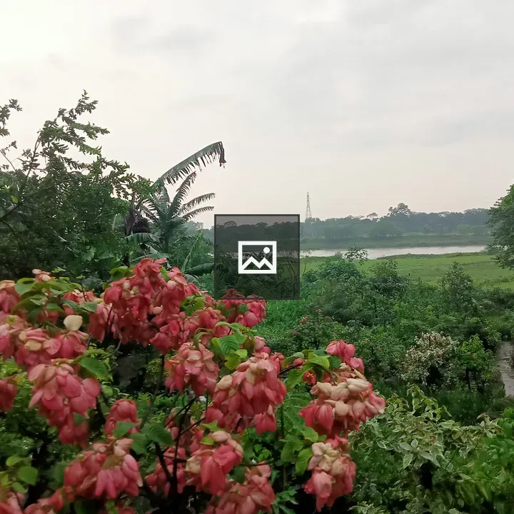 Flowers and Lake View