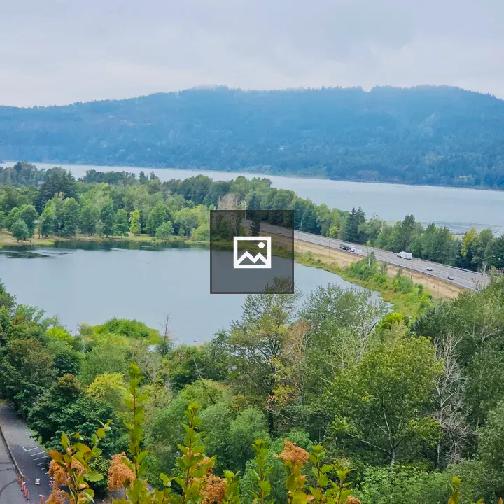 Scenic overlook with lake and trees