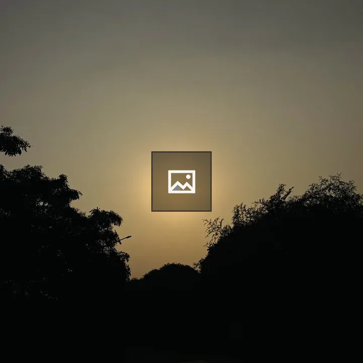 Silhouette of Trees at Sunset
