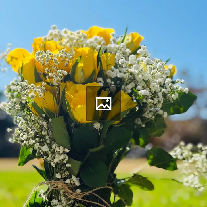 Yellow roses under blue sky