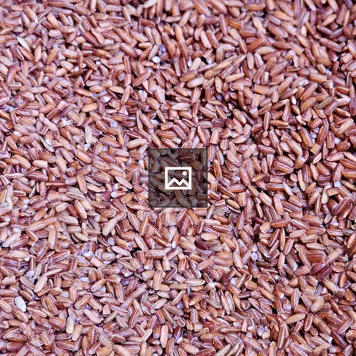 Kerala red rice grains