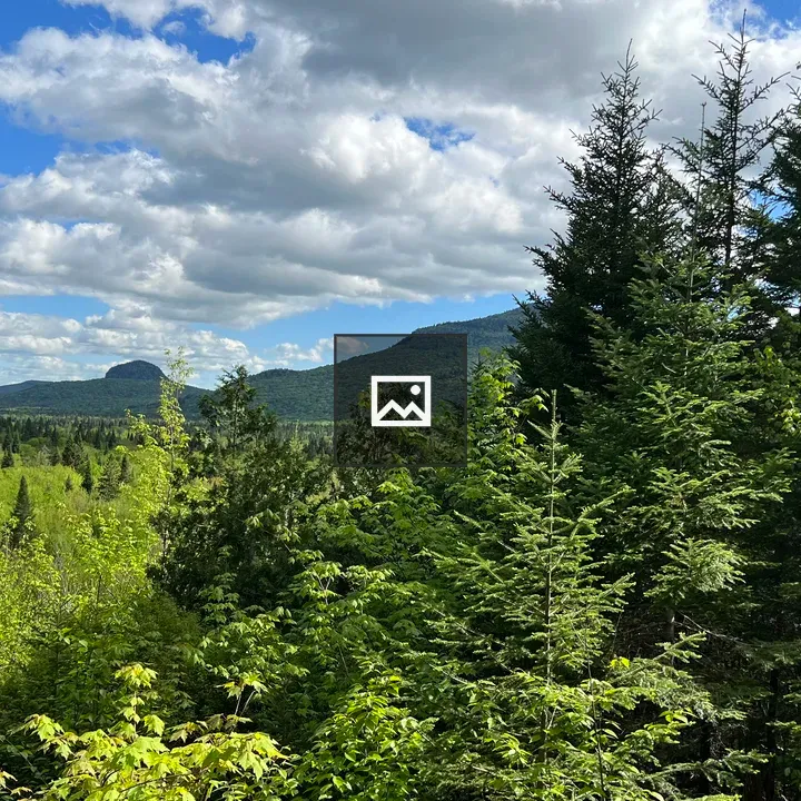 Mont-Tremblant Lac-Supérieur Landscape