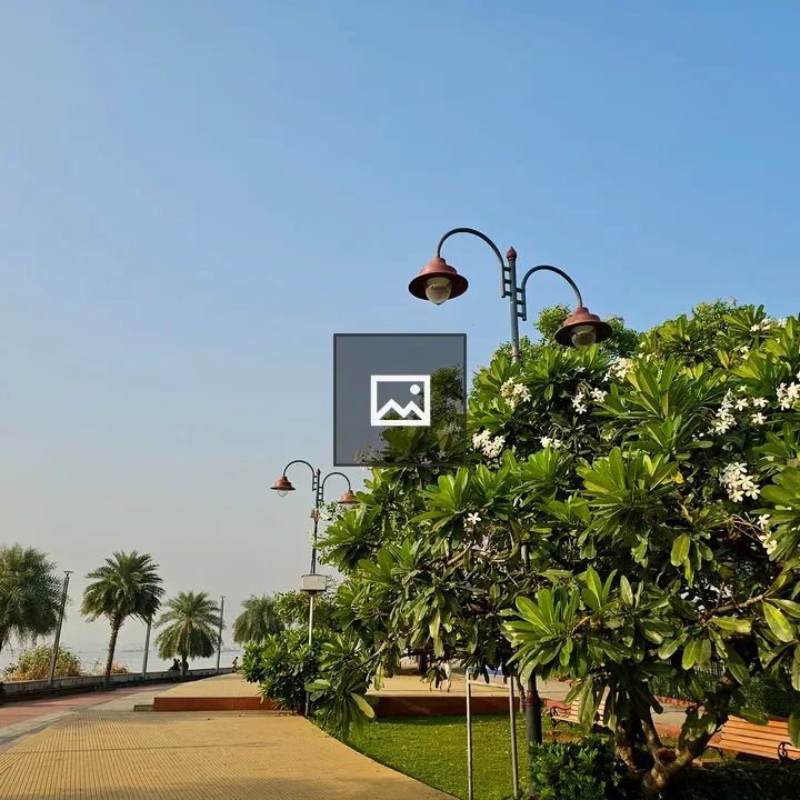 Palm-Lined Shoreline Walkway