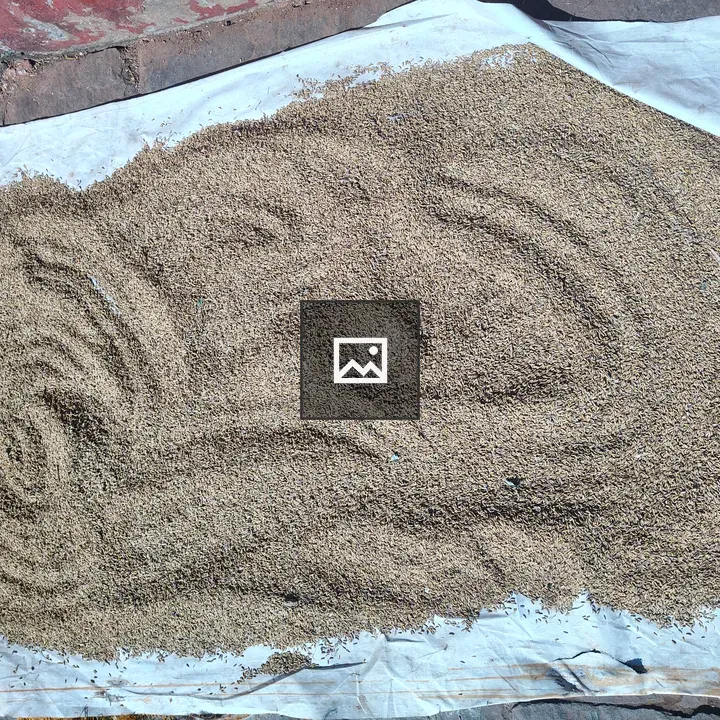 Seed mound on white tarp