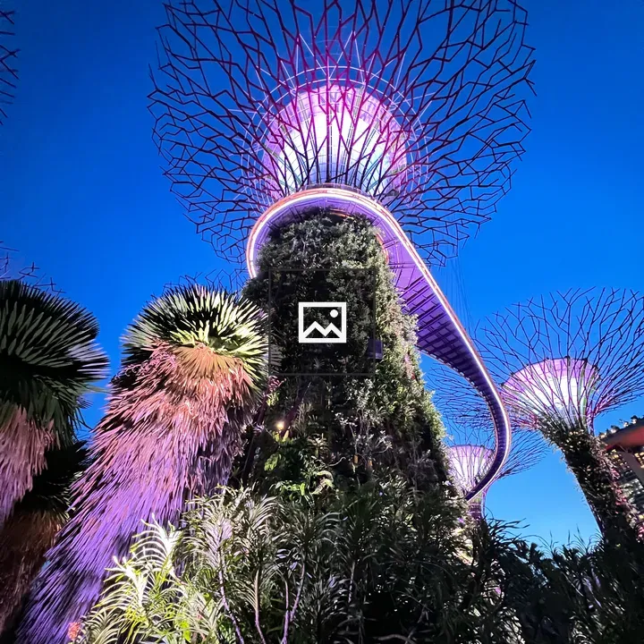 Supertree at Night
