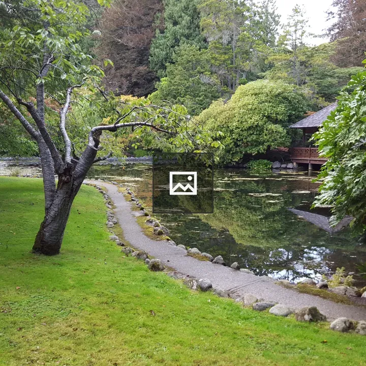 Walking trail by a pond