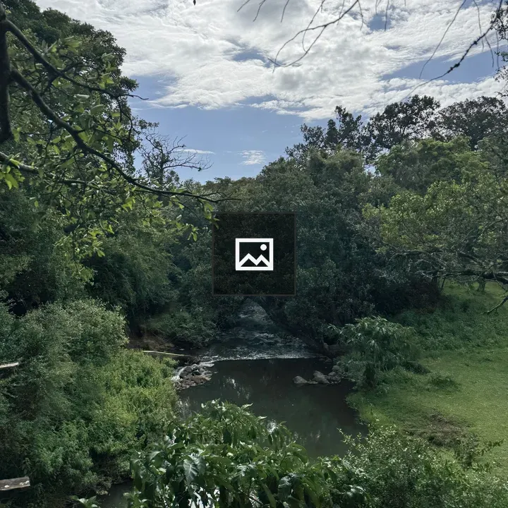 Tranquil stream in lush green landscape