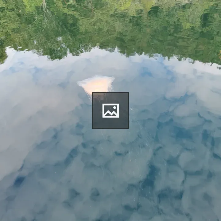 Jellyfish in Water
