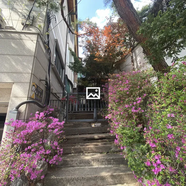 Wooden Staircase with Pink Flowers