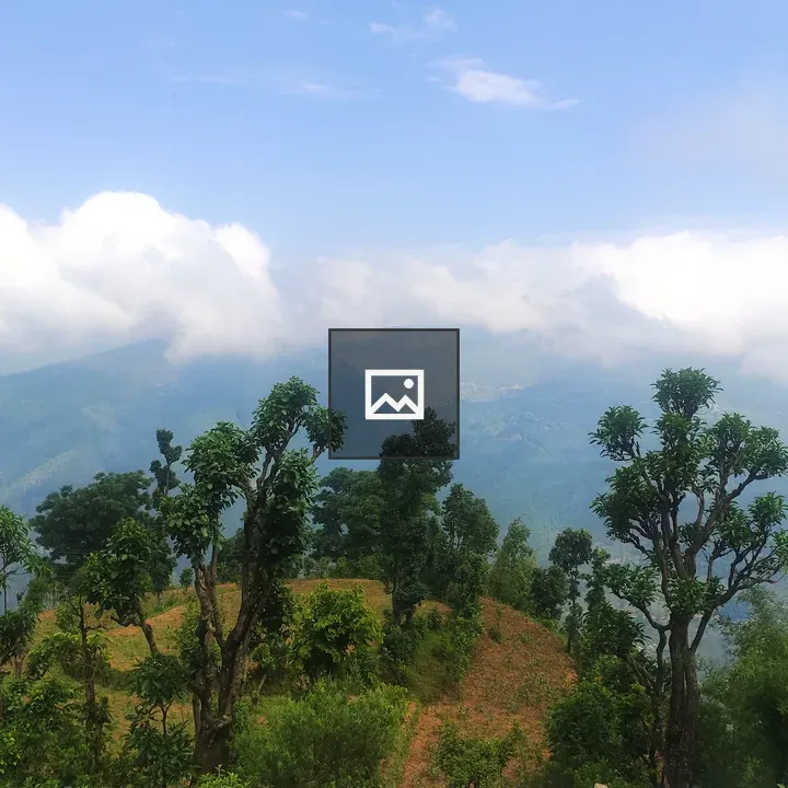 Greenery and mountain scenery