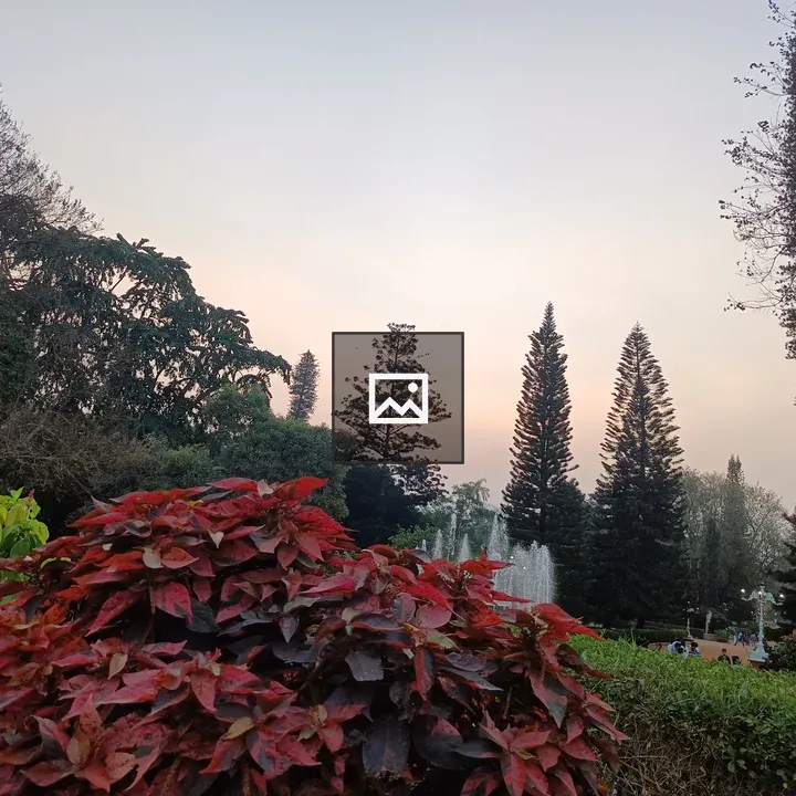 Park view with trees and water fountains