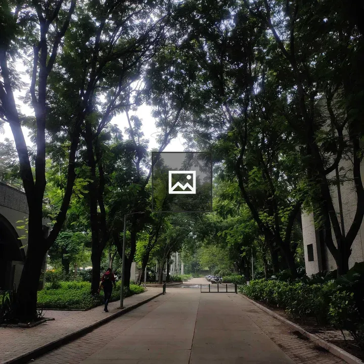 College campus surrounded by trees