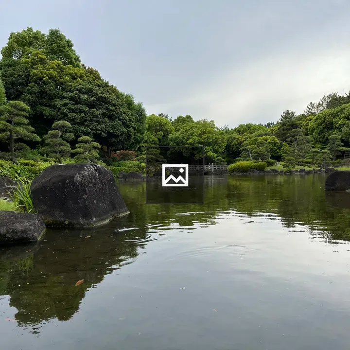 Japanese garden pond with rocks