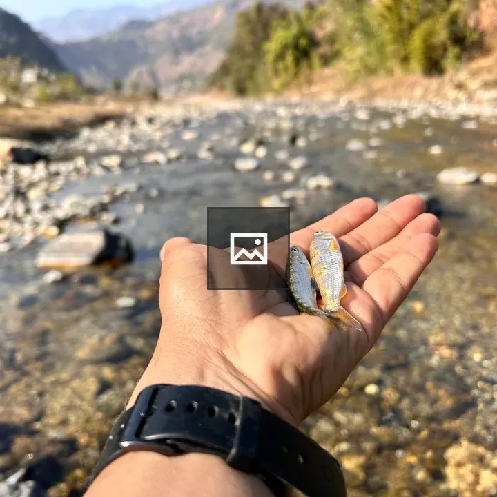 Two tiny local fish in hand