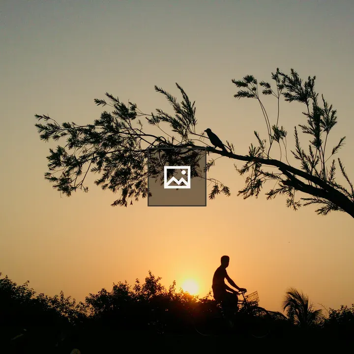 Silhouette on Bicycle at Sunset