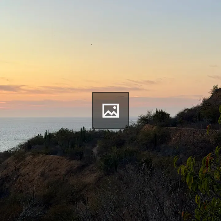 Coast at Sunset with Cacti