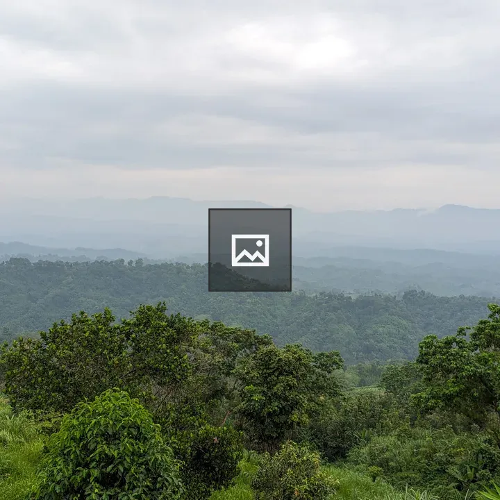 View from Mountain Top with Fog