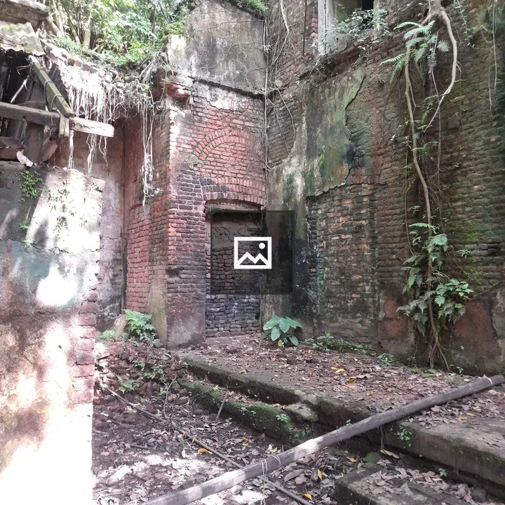 Dilapidated Interior with Vegetation