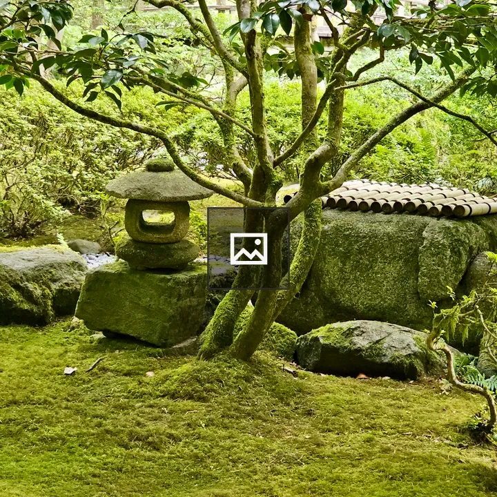 Moss-Covered Stone Lantern in Garden
