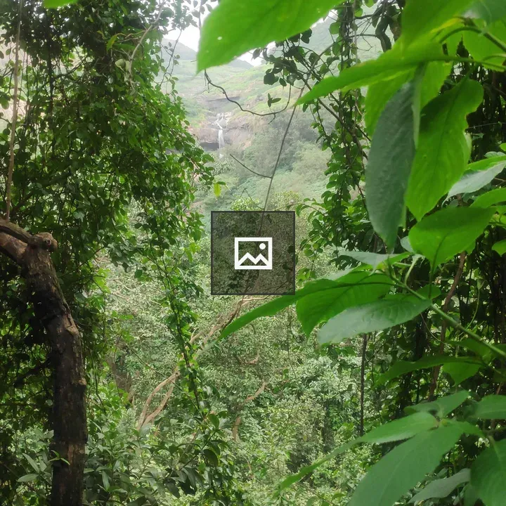 Window view at Tree Waterfall