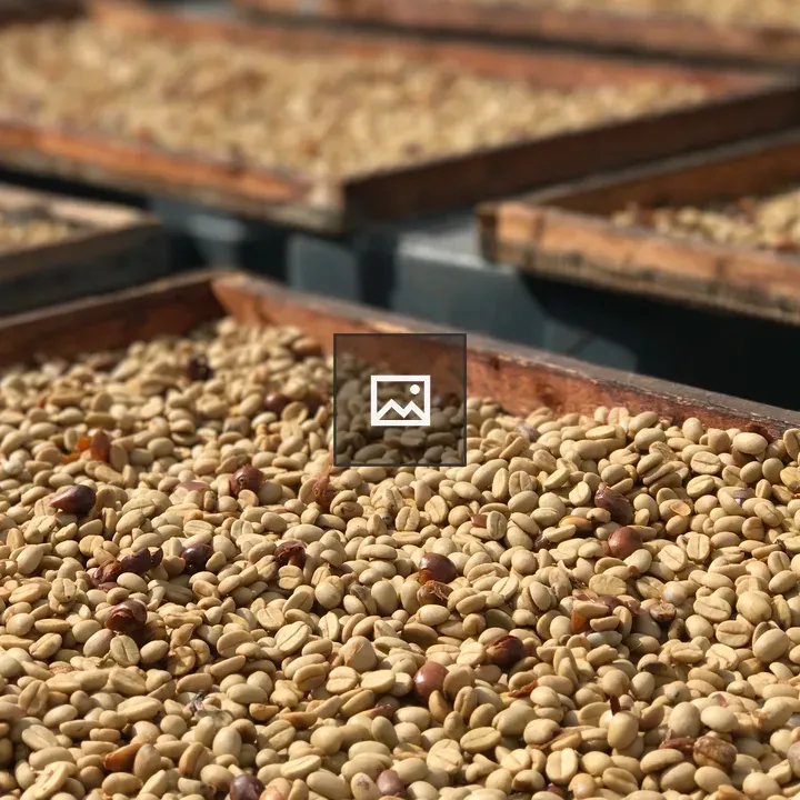 Drying Coffee Beans