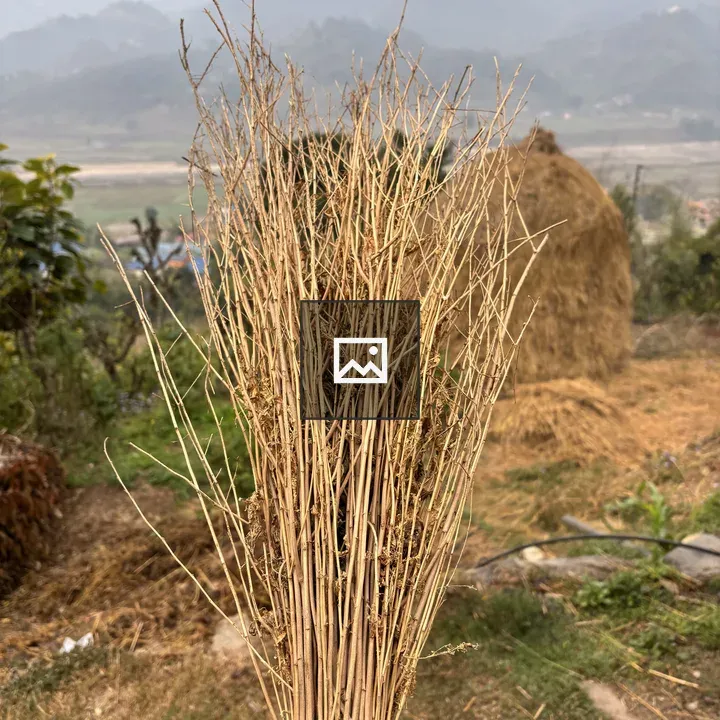 Traditional Nepali broom close-up
