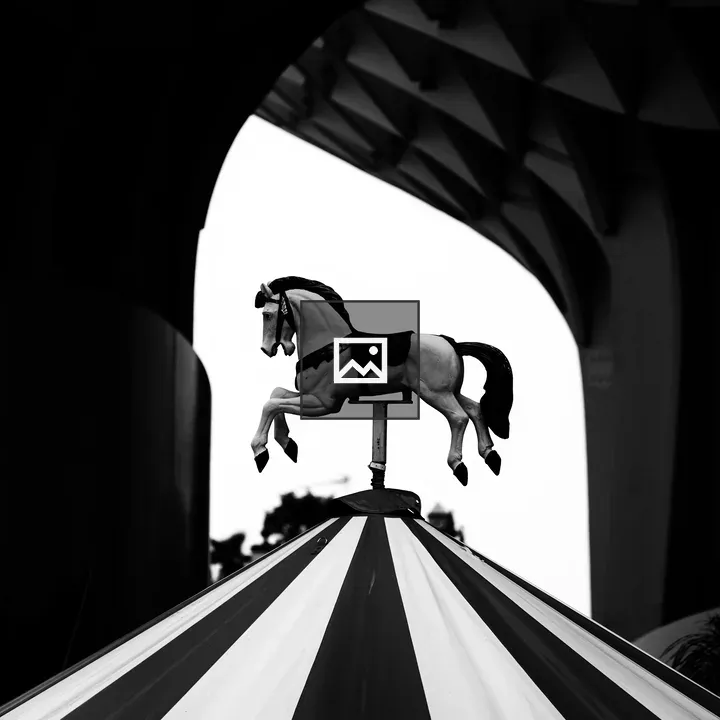 Wooden horse on merry-go-round