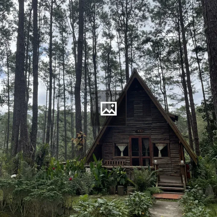 A-frame cabin among pines