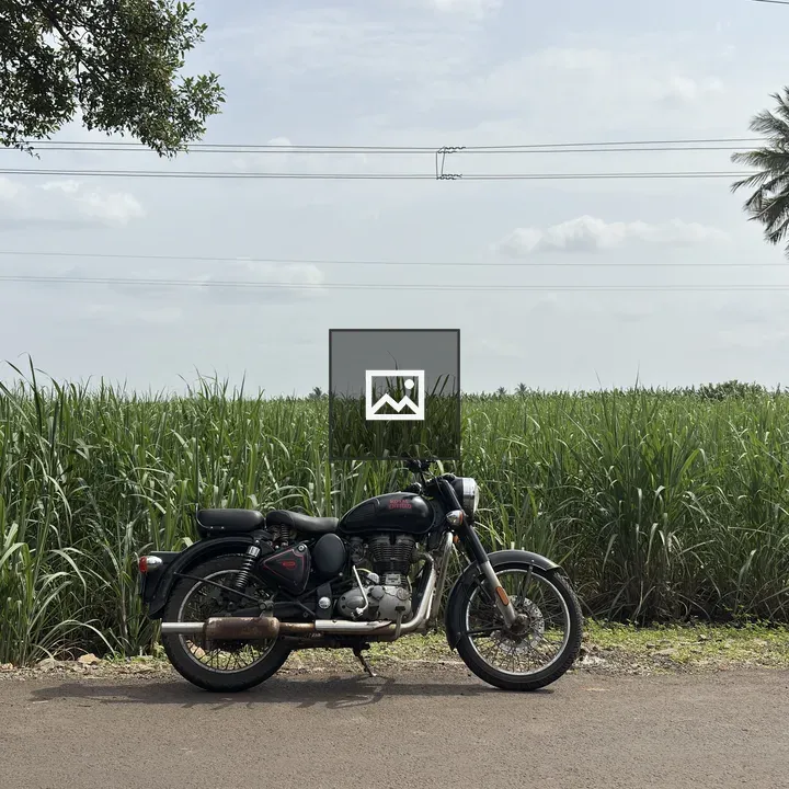 Royal Enfield by Sugarcane Field
