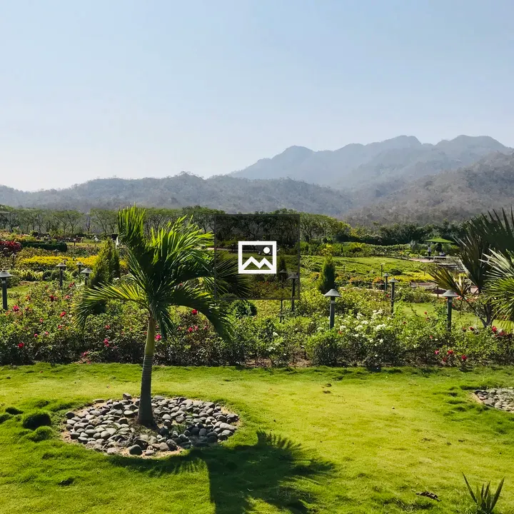 Garden Tree Mountain