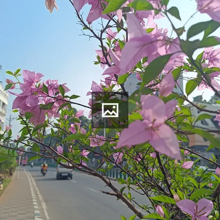 Pink paper flower on sidewalk rails