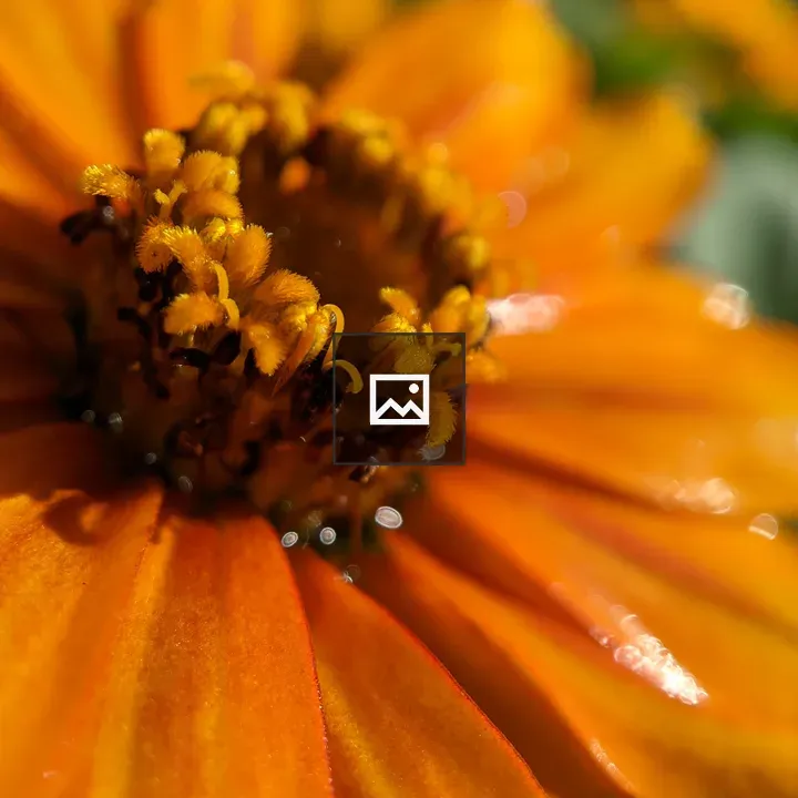 Flower core with water