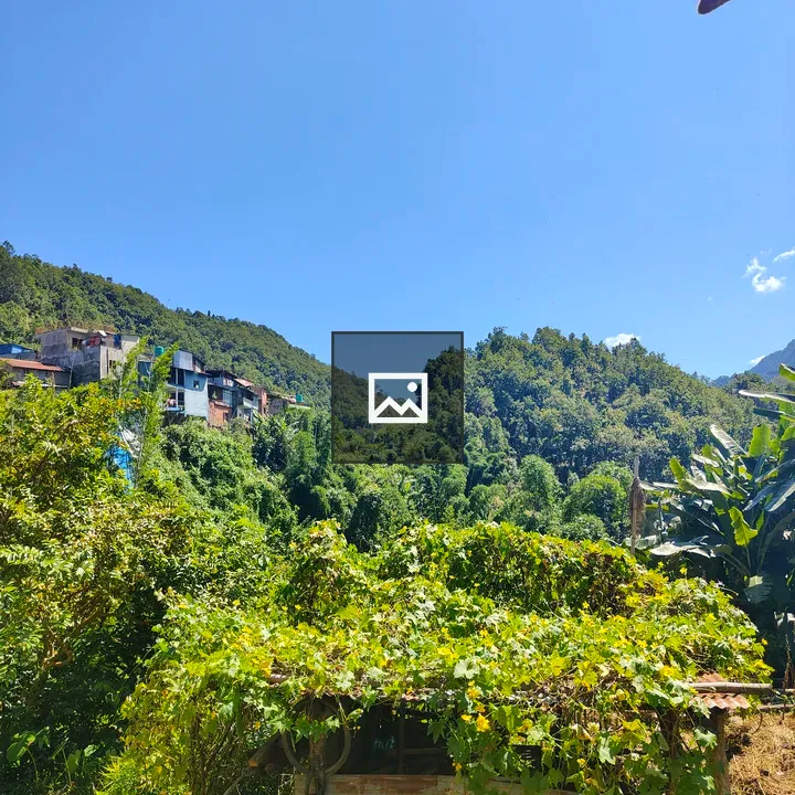 Bright hillside with colorful houses