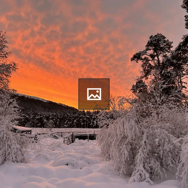 Snowy sunrise valley scene