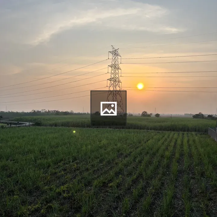 Sunset over agricultural field with tower