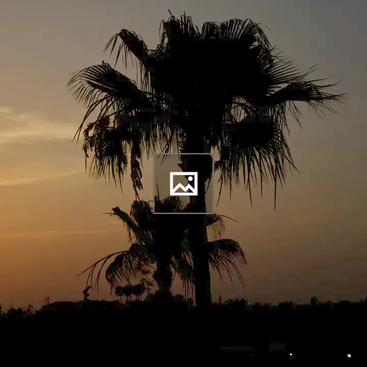 Silhouettes of Palm Trees at Twilight
