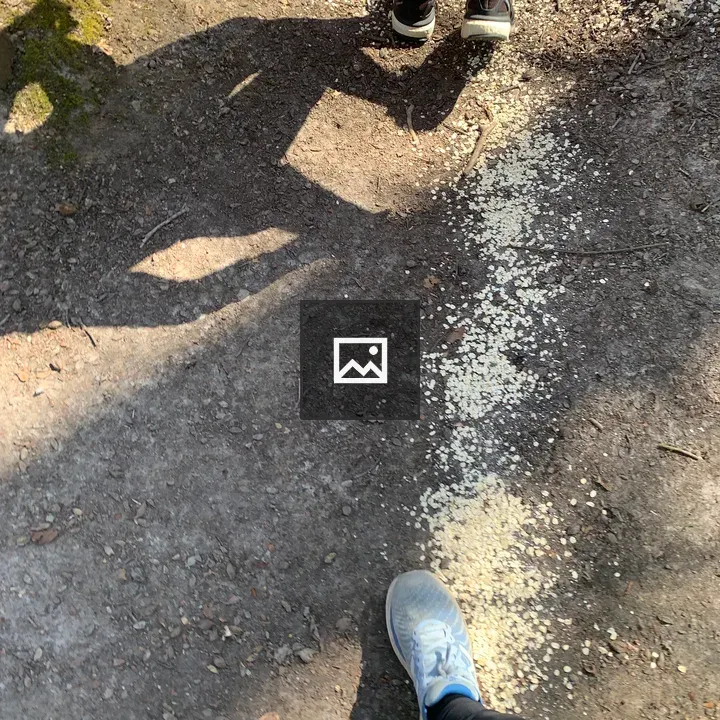 Runners’ Feet on a Wood Path