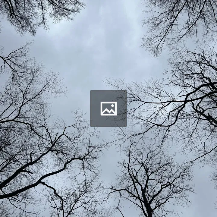 Dead trees in winter landscape