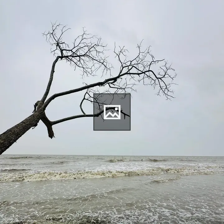 Dead tree on cloudy beach