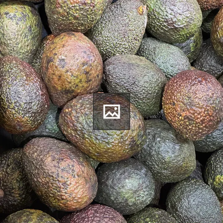 Avocados in Frame