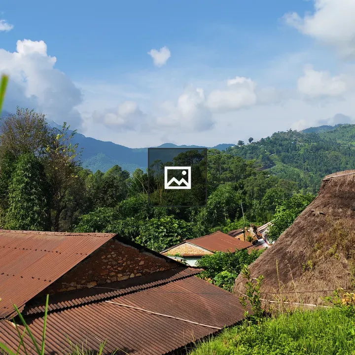 Rural houses among greenery