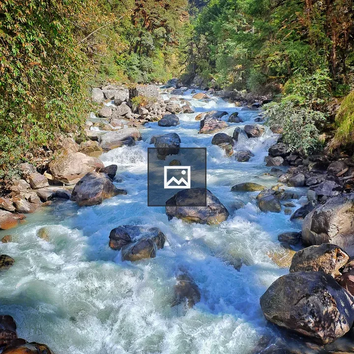 River Through Jungle