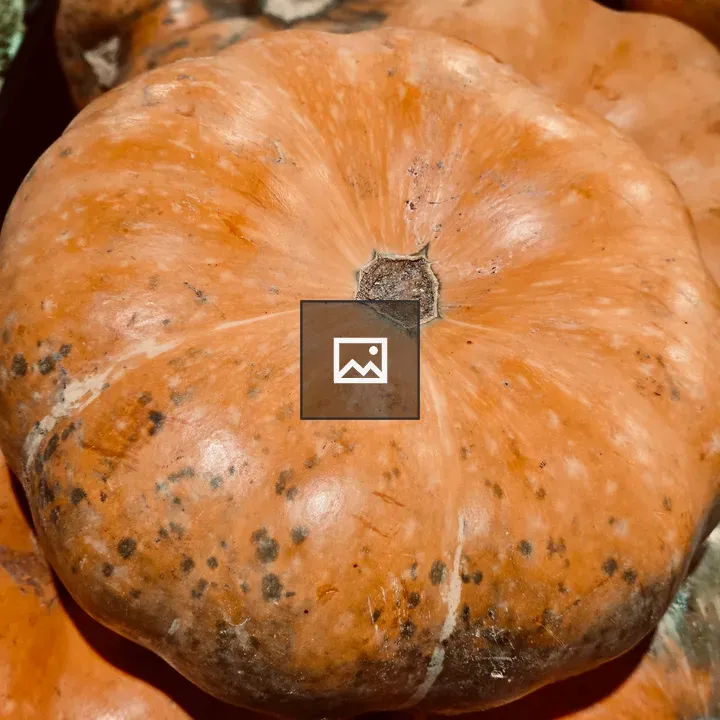 Close-up of ripe orange pumpkins