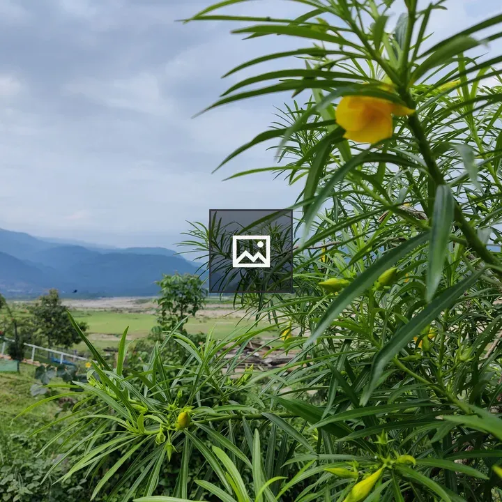 Flower, hill and river frame