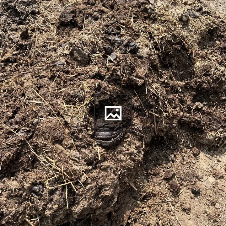 Close-up of manure pile