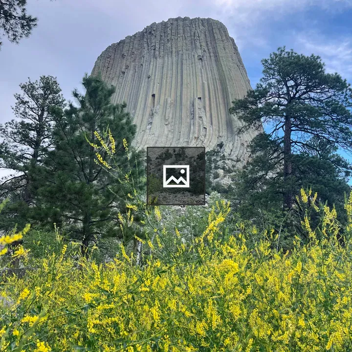 Tall rock formation with pines and wildflowers