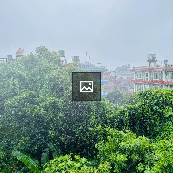 Dense foliage with rooftops through rain
