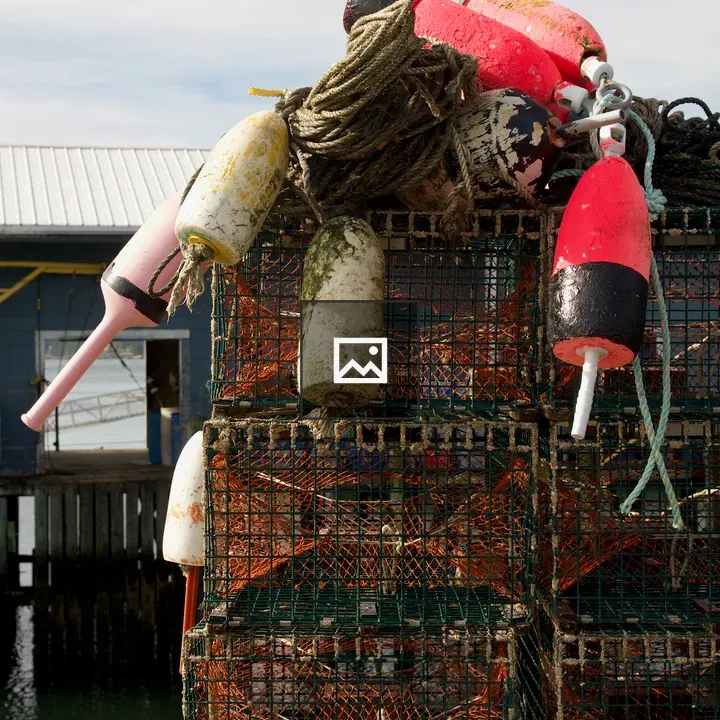Lobster pots