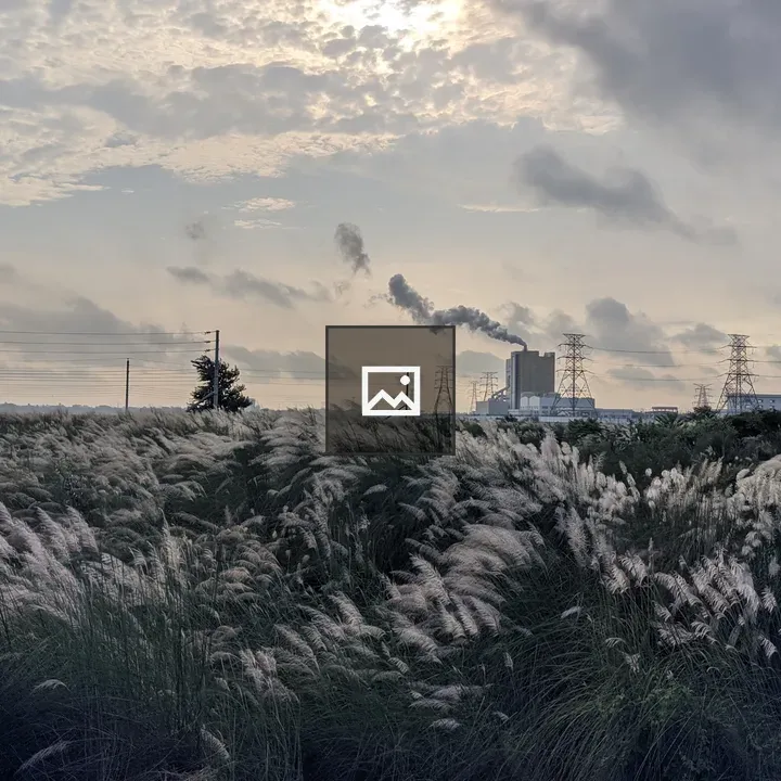 Kashful Grass by Industrial Backdrop
