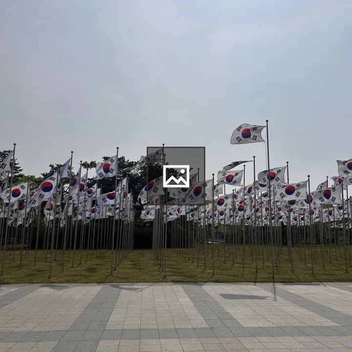 South Korean Flags in Grass
